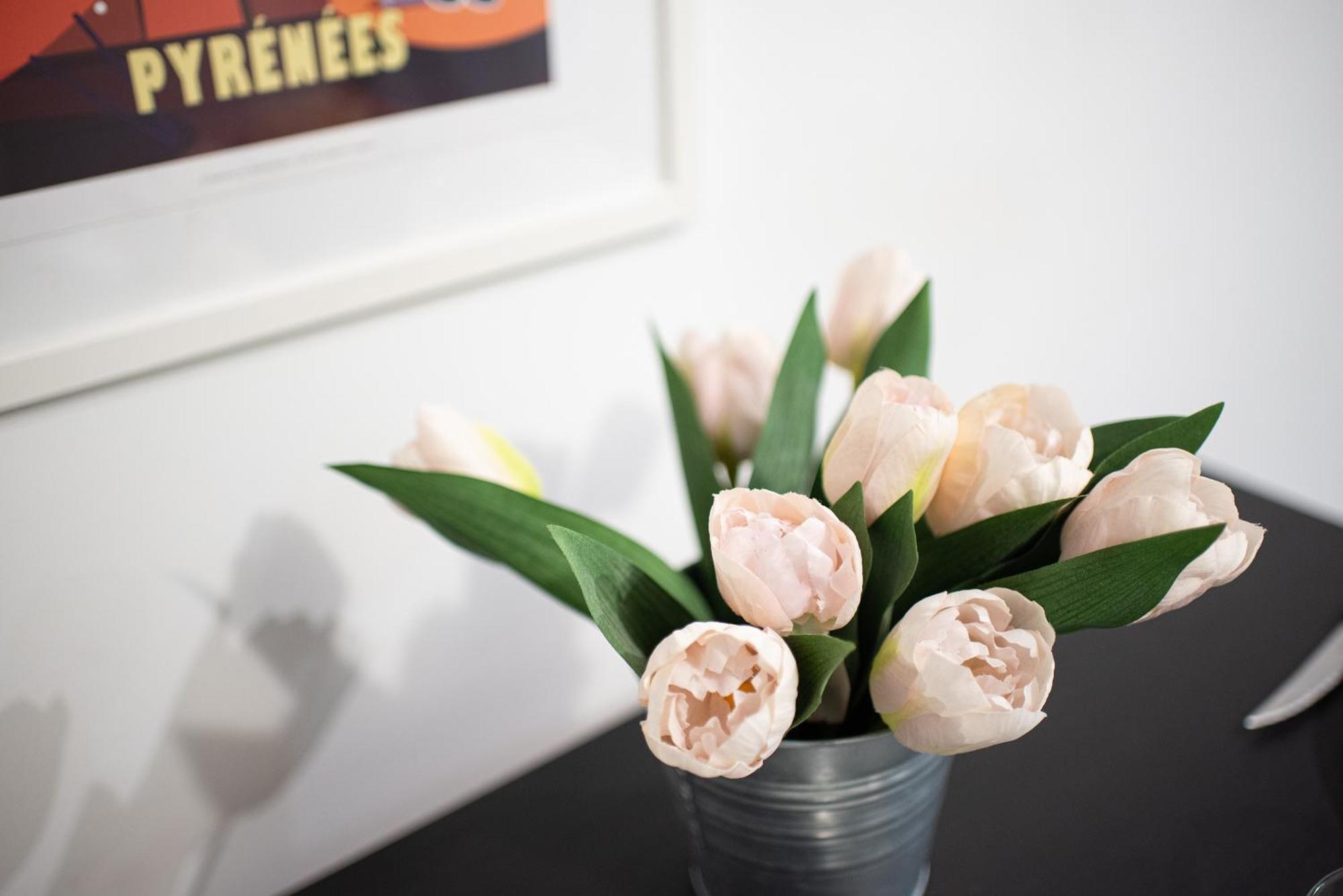 Studio Cosy Toulouse Centre Екстериор снимка